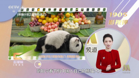 瑶图片